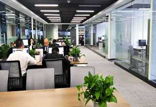 河南好师傅斫琴哪个学得快